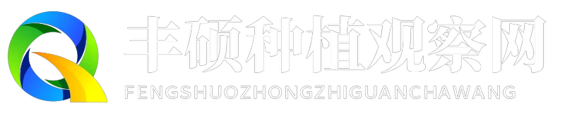 丰硕种植观察网
